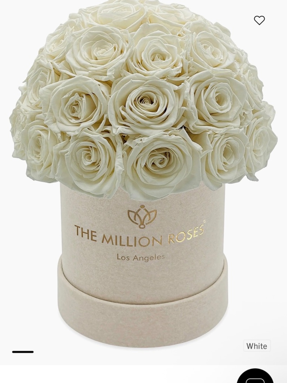 The Million Roses White Preserved Rose Bouquet